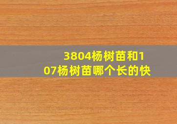 3804杨树苗和107杨树苗哪个长的快