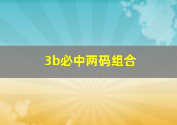 3b必中两码组合