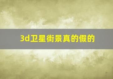 3d卫星街景真的假的