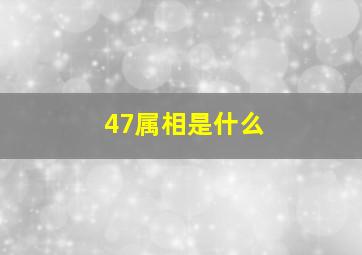 47属相是什么