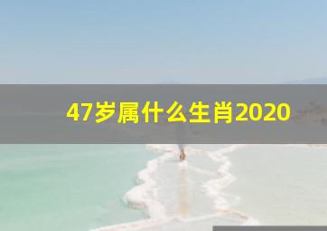 47岁属什么生肖2020