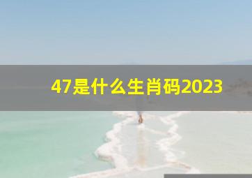 47是什么生肖码2023