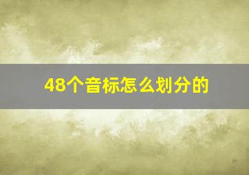 48个音标怎么划分的