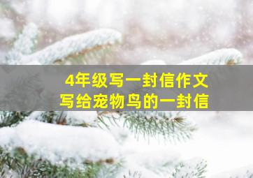 4年级写一封信作文写给宠物鸟的一封信