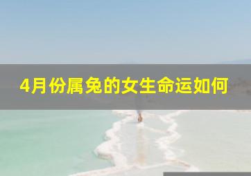 4月份属兔的女生命运如何