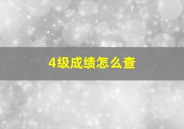 4级成绩怎么查