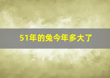 51年的兔今年多大了