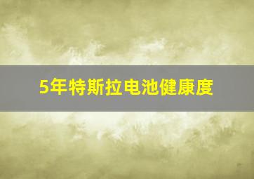 5年特斯拉电池健康度