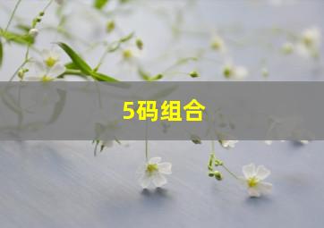 5码组合