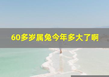 60多岁属兔今年多大了啊