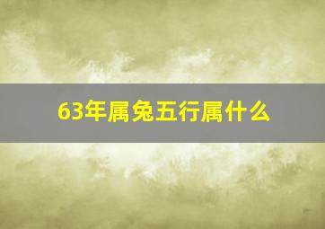 63年属兔五行属什么