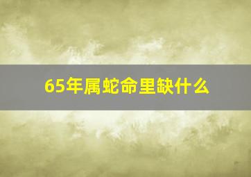 65年属蛇命里缺什么