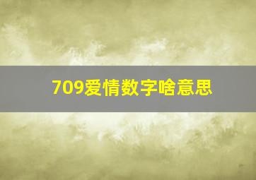 709爱情数字啥意思