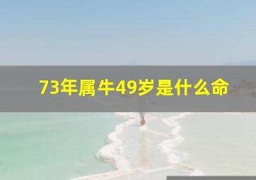 73年属牛49岁是什么命