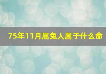 75年11月属兔人属于什么命