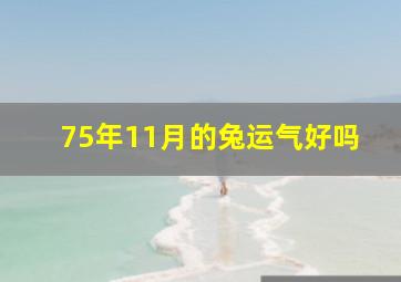 75年11月的兔运气好吗