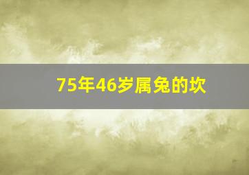 75年46岁属兔的坎