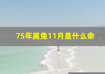 75年属兔11月是什么命