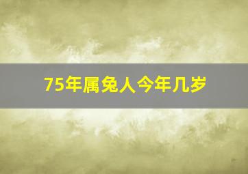 75年属兔人今年几岁