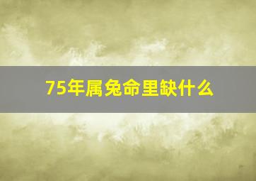 75年属兔命里缺什么