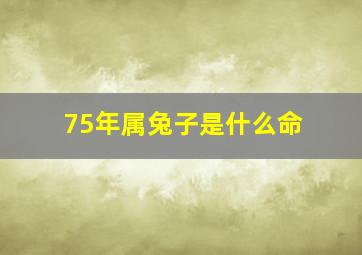 75年属兔子是什么命