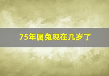 75年属兔现在几岁了