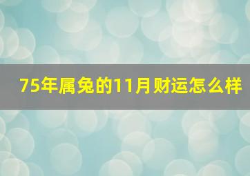 75年属兔的11月财运怎么样