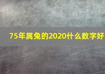 75年属兔的2020什么数字好