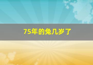 75年的兔几岁了