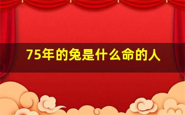 75年的兔是什么命的人