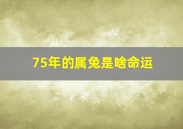 75年的属兔是啥命运