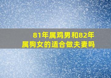 81年属鸡男和82年属狗女的适合做夫妻吗