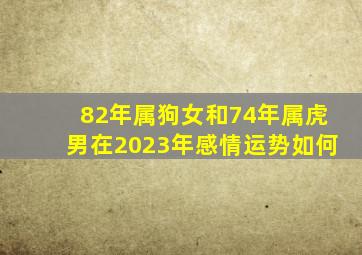 82年属狗女和74年属虎男在2023年感情运势如何