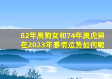 82年属狗女和74年属虎男在2023年感情运势如何呢