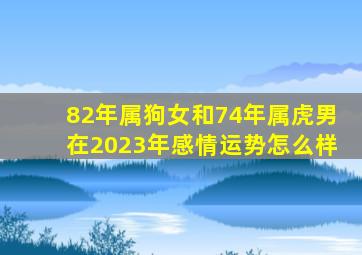 82年属狗女和74年属虎男在2023年感情运势怎么样