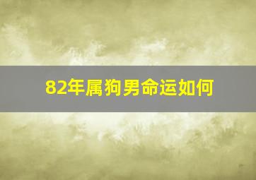 82年属狗男命运如何