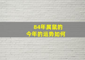 84年属鼠的今年的运势如何