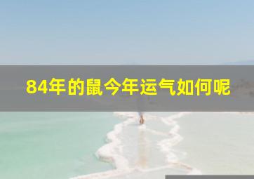 84年的鼠今年运气如何呢