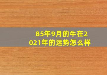 85年9月的牛在2021年的运势怎么样