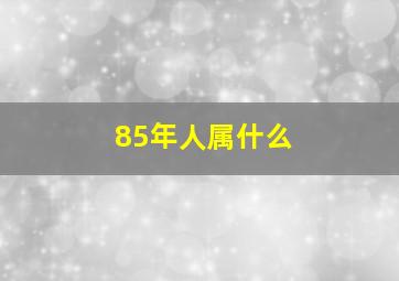 85年人属什么