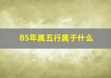 85年属五行属于什么