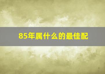 85年属什么的最佳配