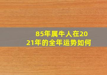 85年属牛人在2021年的全年运势如何