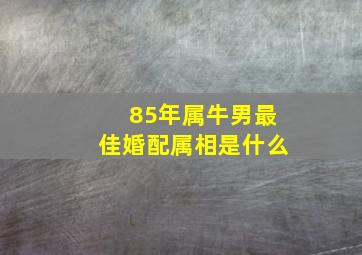 85年属牛男最佳婚配属相是什么