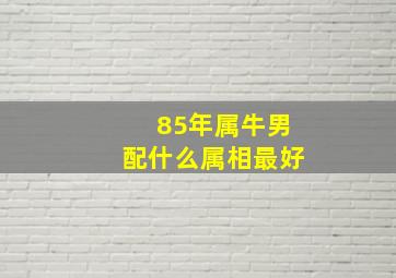 85年属牛男配什么属相最好