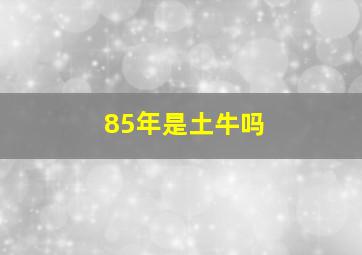 85年是土牛吗