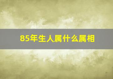 85年生人属什么属相