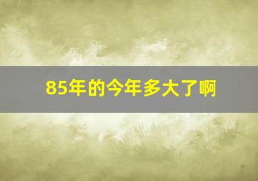 85年的今年多大了啊