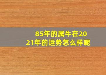 85年的属牛在2021年的运势怎么样呢