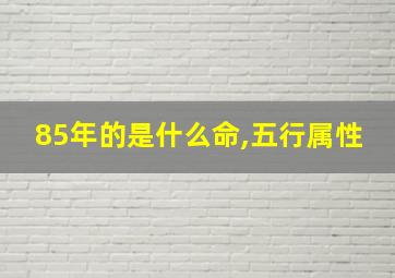 85年的是什么命,五行属性